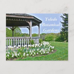 POSTKARD, "GAZEBO AND WHITE TULIPS"/TOLEDO BOTANIC VYKORT