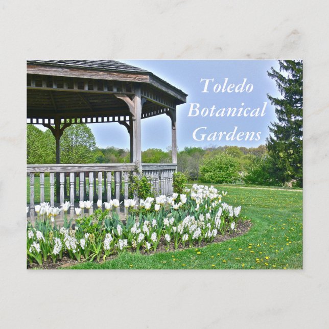 POSTKARD, "GAZEBO AND WHITE TULIPS"/TOLEDO BOTANIC VYKORT (Framsida)