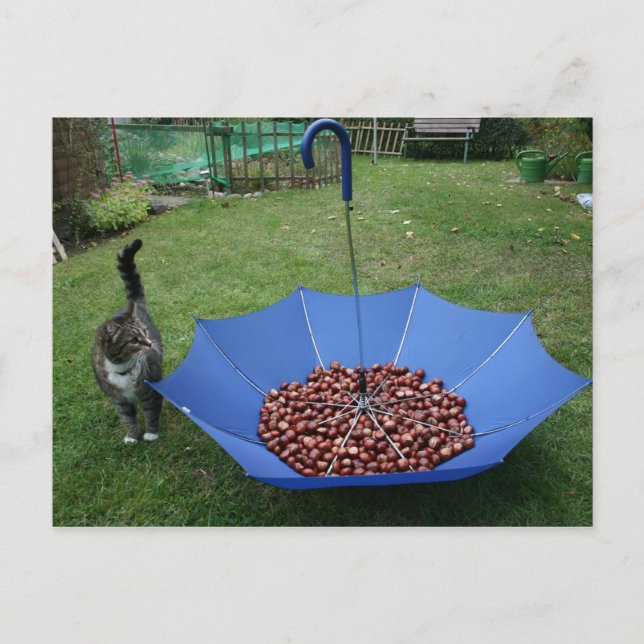 Postkarte - Bist du denn? Vykort (Framsida)