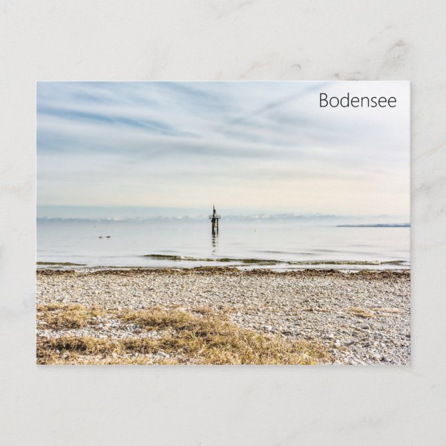 Postkarte Bodensee Postcard Sjö Constance Vykort (Framsida)
