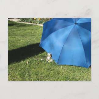 Postkarte - der Osterhase zu Besuch Vykort