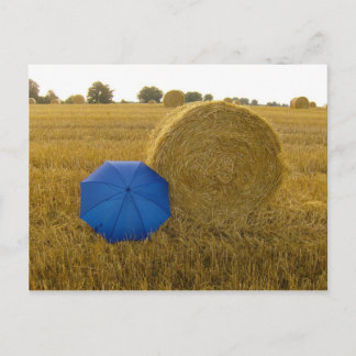 Postkarte - ein ungleiches Paar Vykort