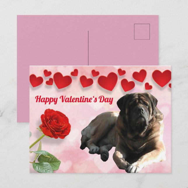 Postkarte English Mastiff Valentinstags  Vykort (Fram/baksida)