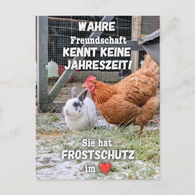 Postkarte „Frostschutz im Herzen“ Vykort (Framsida)