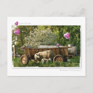 Postkarte: Frühling Vykort