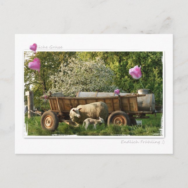 Postkarte: Frühling Vykort (Framsida)