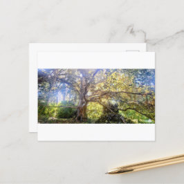 Postkarte Großer Laubbaum Vykort