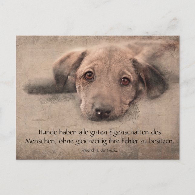 Postkarte Hundewelpe mit Zitat Vykort (Framsida)