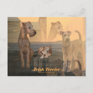 Postkarte ’Irish Terrier’ Vykort