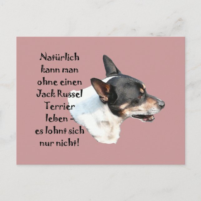 Postkarte "Jack Russel Terrier" Vykort (Framsida)