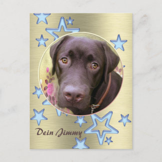 Postkarte Labrador Jimmy Vykort