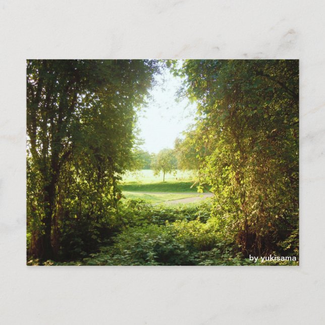 Postkarte - Laubfenster Vykort (Framsida)