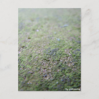 Postkarte - Moß Vykort