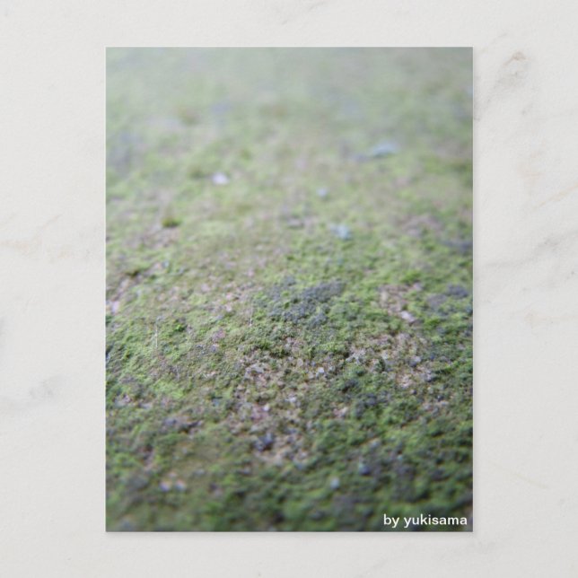 Postkarte - Moß Vykort (Framsida)