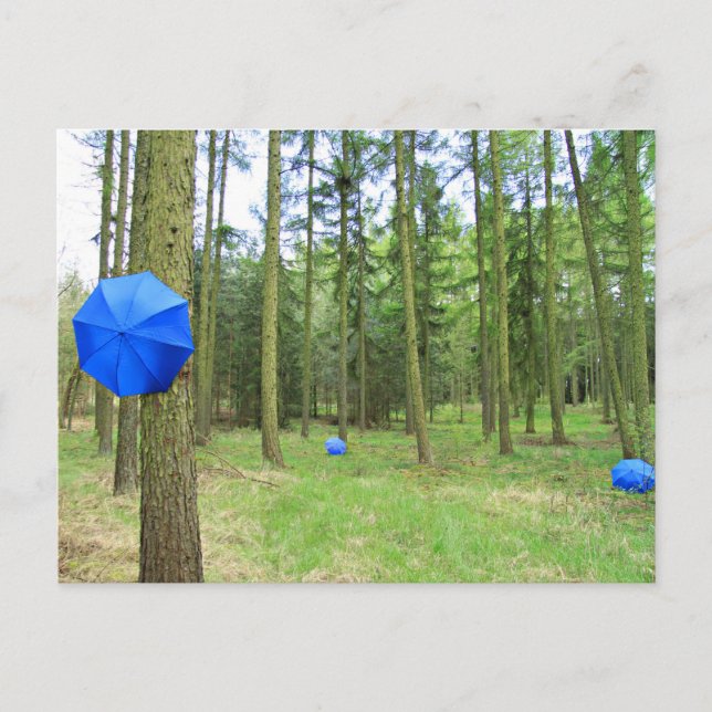 Postkarte - neulich im Wald Vykort (Framsida)