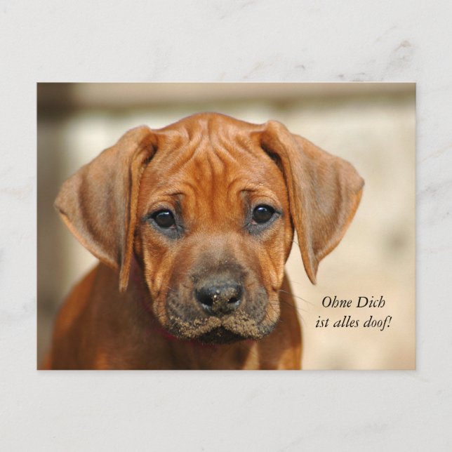 Postkarte: "Ohne Dich ist alles doof!" Vykort (Framsida)