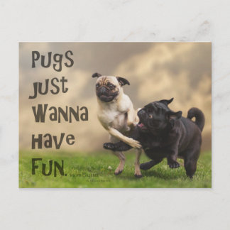 Postkarte "Pugs just wanna have fun" Vykort