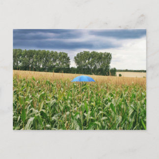 Postkarte - Qualitätskontrolle Vykort