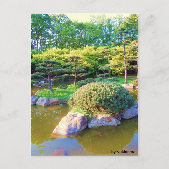 Postkarte - Schildkröten Insel Vykort (Framsida)