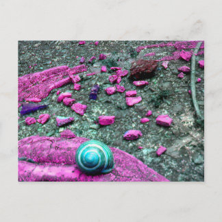 Postkarte "SnailShell" Vykort