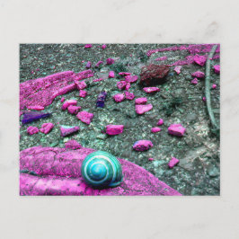 Postkarte "SnailShell" Vykort