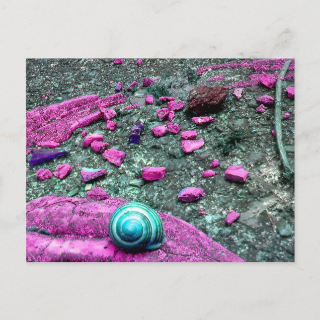 Postkarte "SnailShell" Vykort (Framsida)