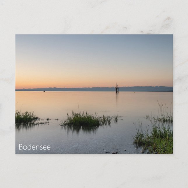 Postkarte vom Bodensee mit Alpen Vykort (Framsida)