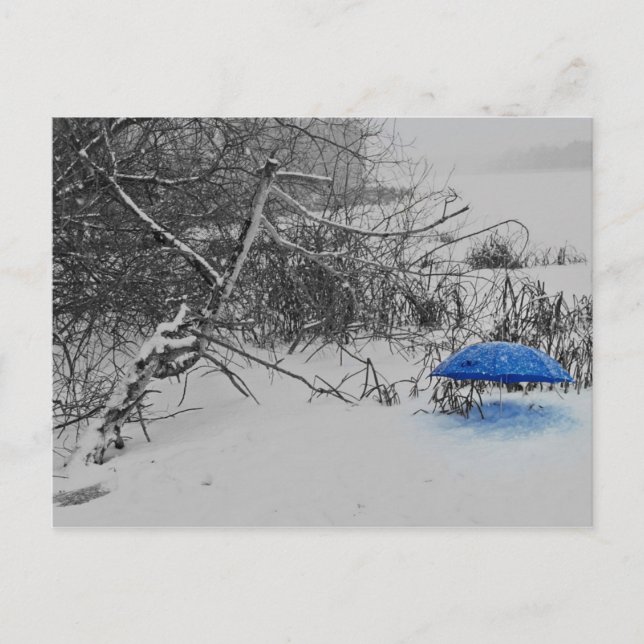Postkarte - vom Schirmlein auf dem Eis Vykort (Framsida)