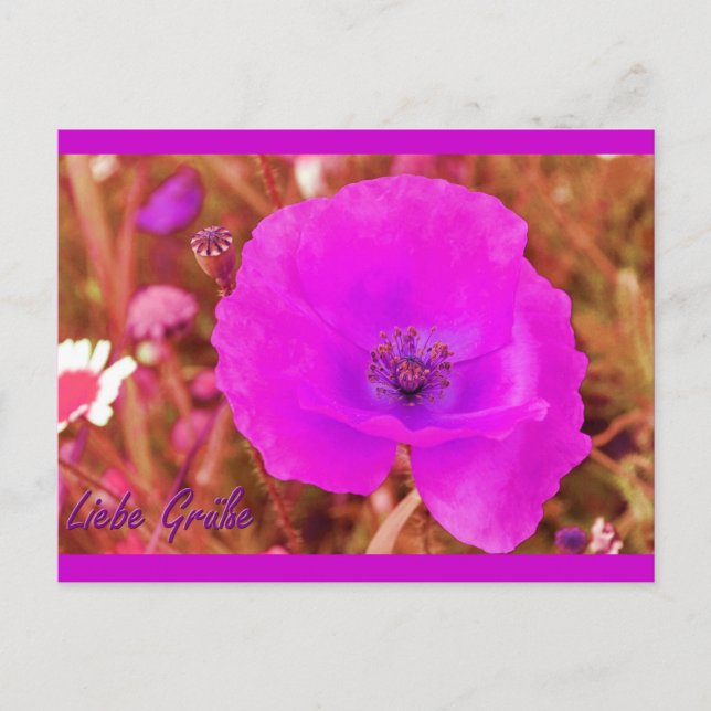 Postkarte Vykort (Framsida)