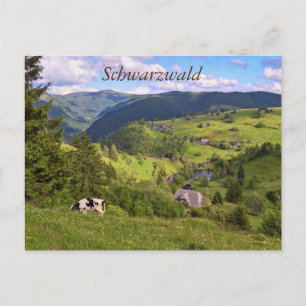 Postkarte: Wiesen und eine Kuh mit Panoramaansicht Vykort
