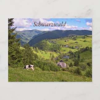 Postkarte: Wiesen und eine Kuh mit Panoramaansicht Vykort