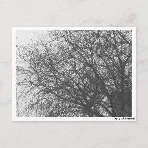 Postkarte - Winterbaum Vykort