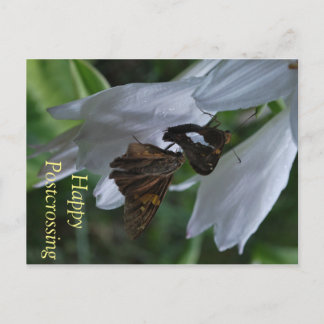 Postkorg för månatlig postkorsning vykort