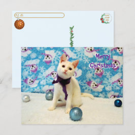 Postkorsning - Audys jul - Kat Postcard Vykort