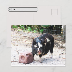 Postkorsning Cute Little Piggy Farm Life-vykort Vykort