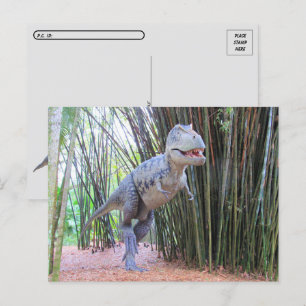 Postkorsning - Daspletosaur - Dinosaur - vykort
