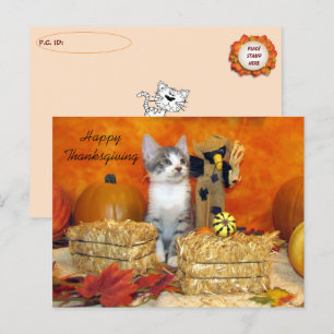Postkorsning Porkchop Cat / Kitten Postkort Vykort