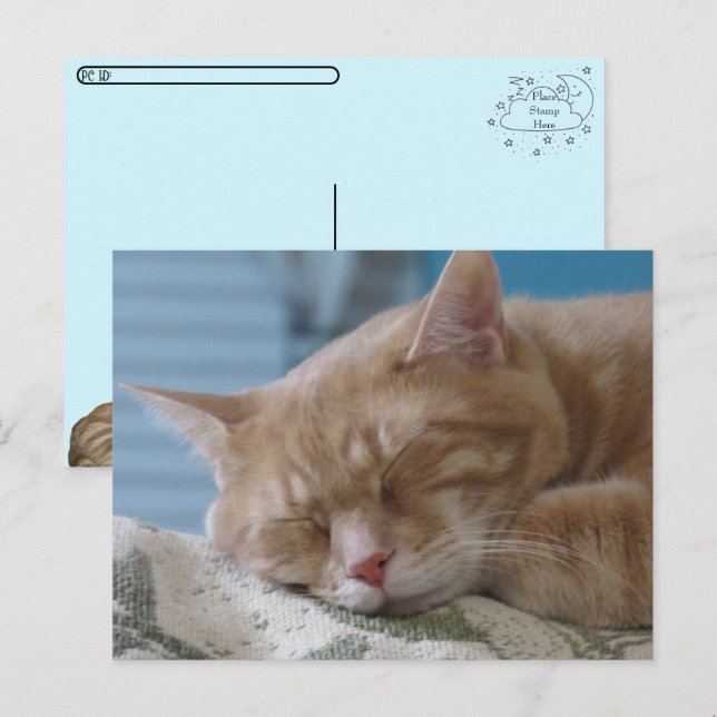 Postkorsning - Sömnig Kattunge Taz - KAT-vykort Helg Vykort (Fram/baksida)