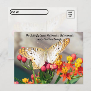 Postkorsning - Vitbok för fjärilsoffert Vykort