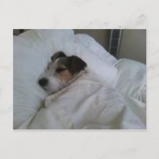 Postkort av högsta kvalitet vykort