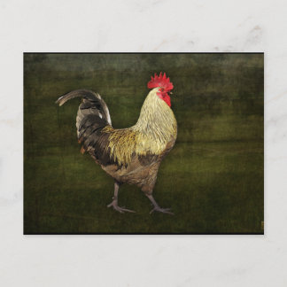 Postkort av typen Cock-A-Doodle-Doo Vykort