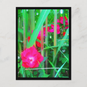 Postkort-City Flowers-13 Vykort