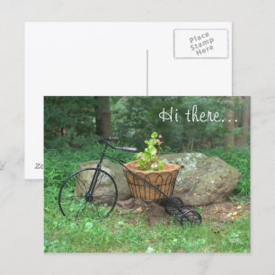 Postkort, där.. Cycle Rosa Flowers i Basket Vykort