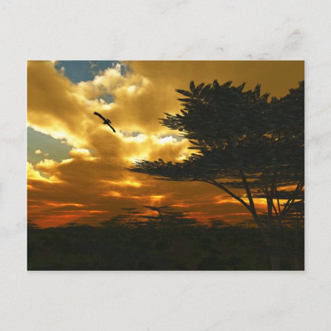 Postkort för afrikansk Flygplan Vykort (Framsida)