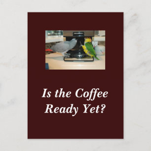 Postkort för afrikanska Grått- och kaffevänner Vykort