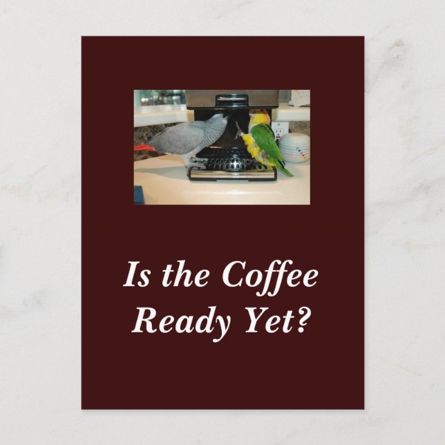 Postkort för afrikanska Grått- och kaffevänner Vykort (Framsida)