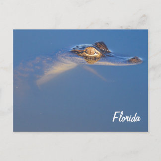 Postkort för Alligator baby Vykort