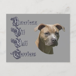 Postkort för American Pit Bull Terrier (APBT) Vykort