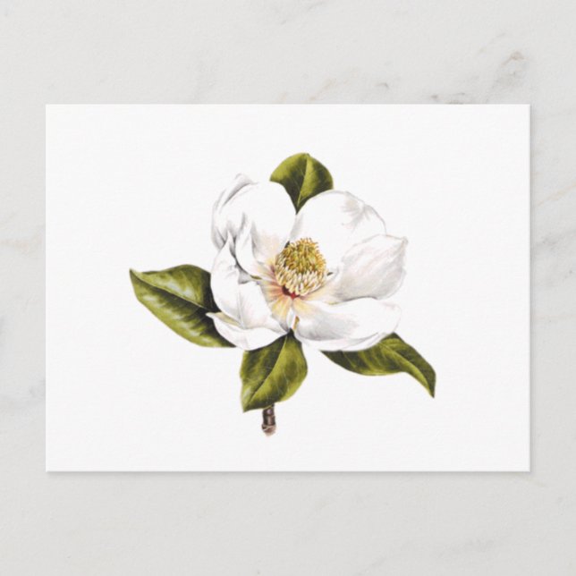 Postkort för ändring av adress - uppsättning med 2 vykort (Framsida)