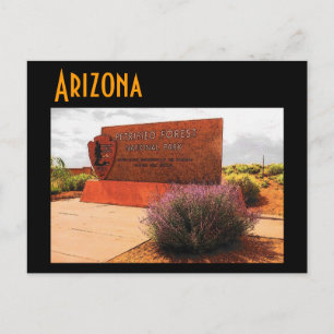 Postkort för Arizona (Petrified Forest) Vykort